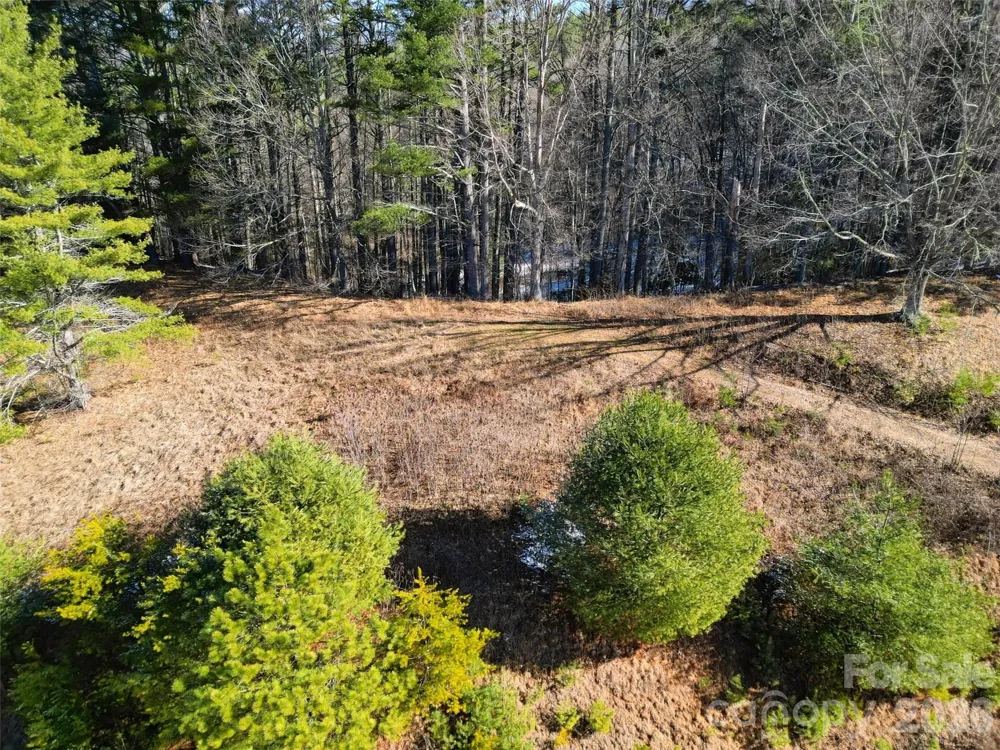 00 Dream Valley Drive #22 Clyde, NC 28721