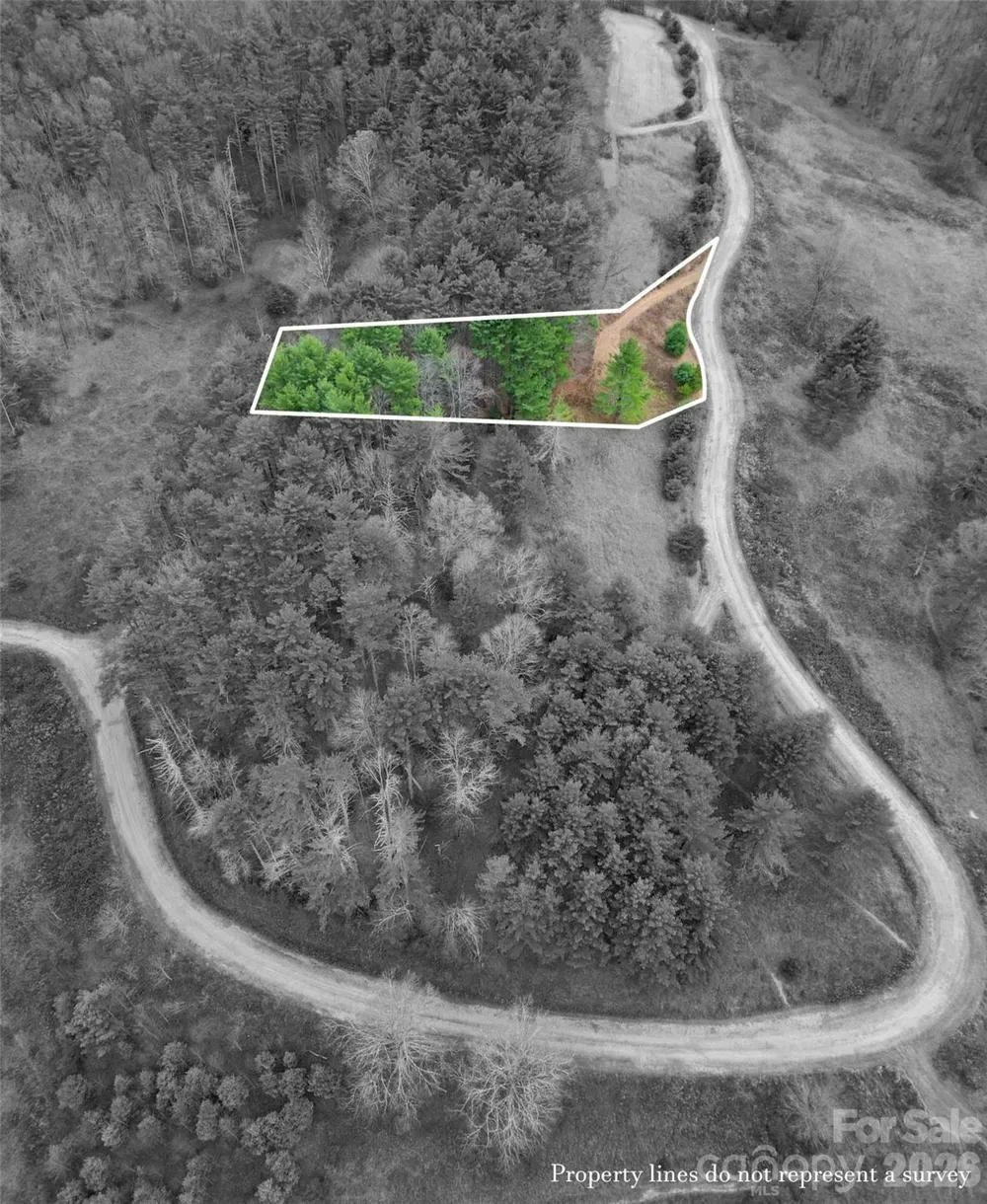 00 Dream Valley Drive #22 Clyde, NC 28721