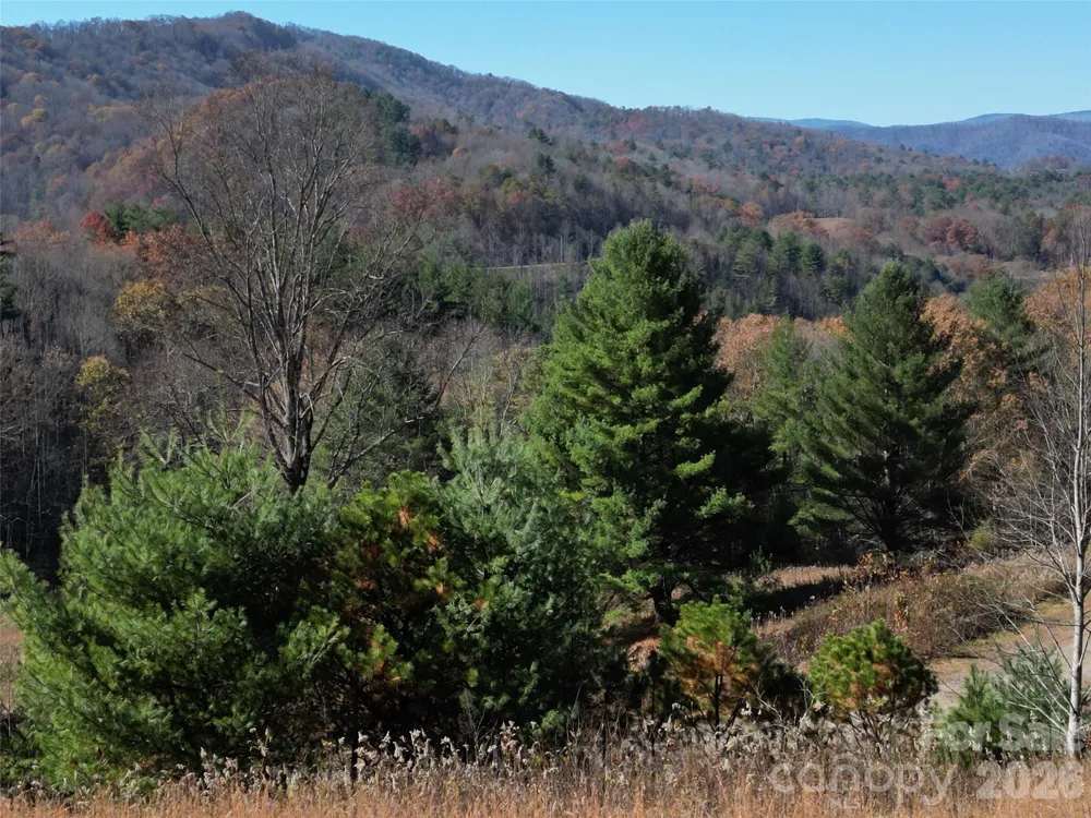 00 Dream Valley Drive #22 Clyde, NC 28721