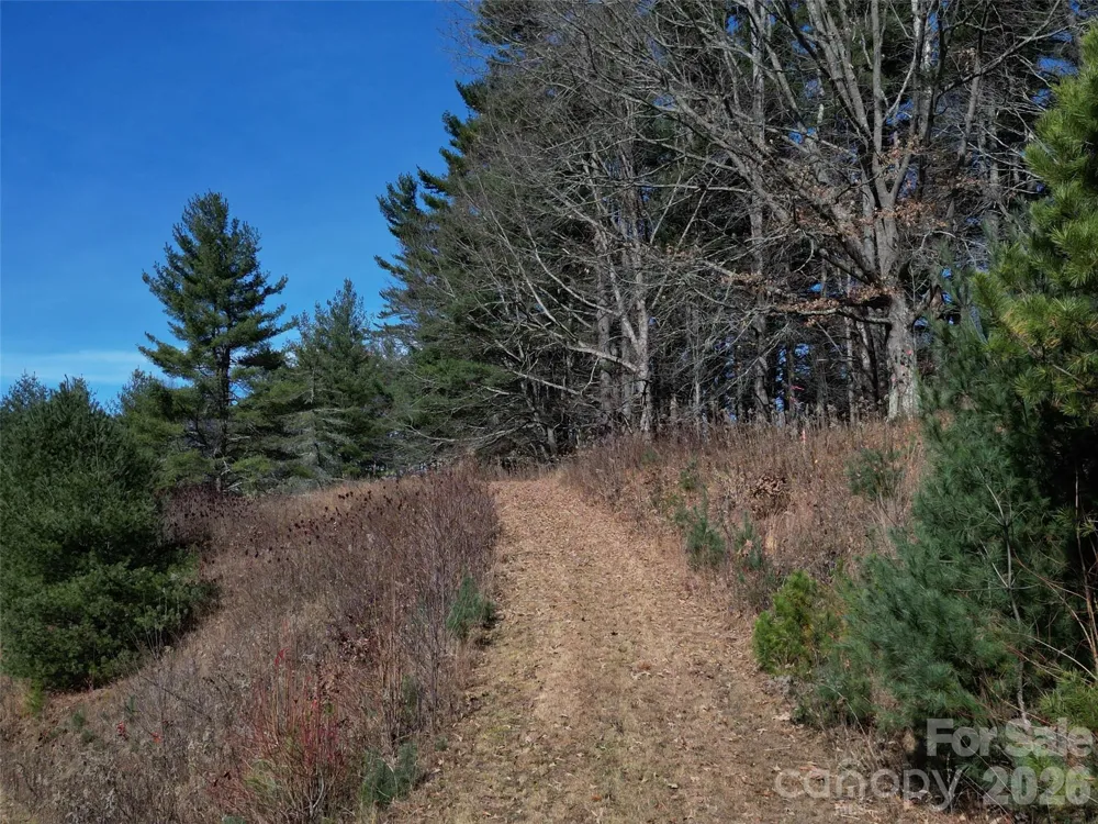 00 Dream Valley Drive #22 Clyde, NC 28721