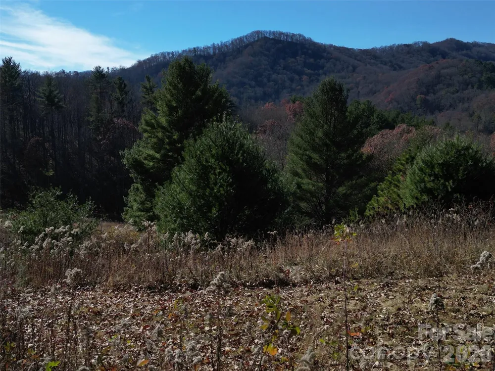 00 Dream Valley Drive #22 Clyde, NC 28721