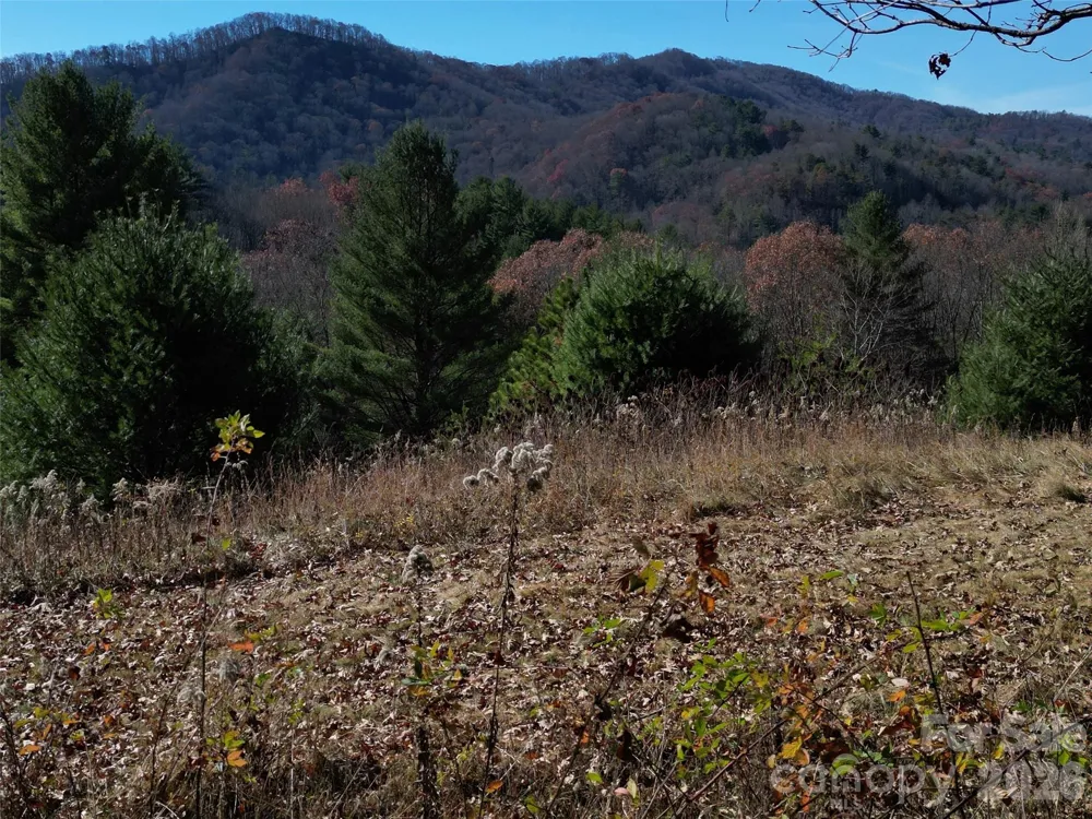 00 Dream Valley Drive #22 Clyde, NC 28721