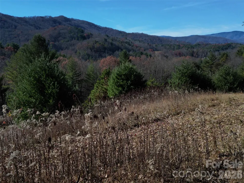 00 Dream Valley Drive #22 Clyde, NC 28721