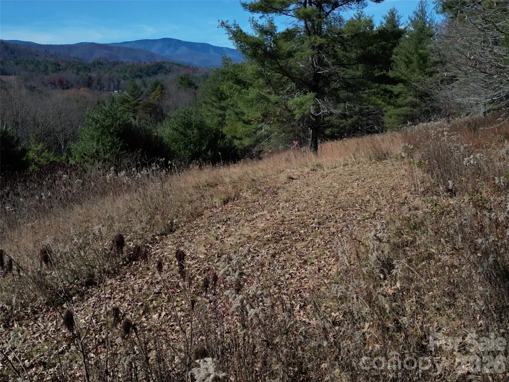 00 Dream Valley Drive #22 Clyde, NC 28721