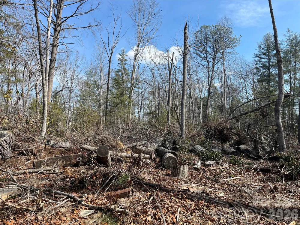 19 Laurel Loop Road Fairview, NC 28730