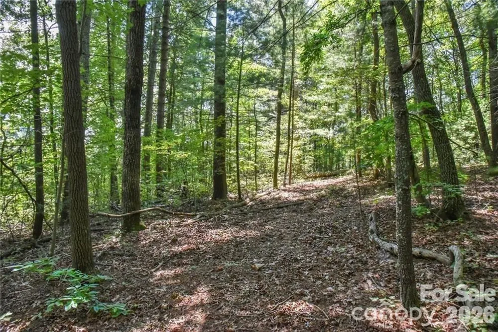 19 Laurel Loop Road Fairview, NC 28730