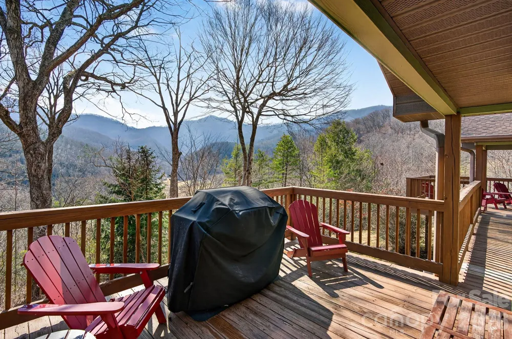 99 Margaret Drive Leicester, NC 28748