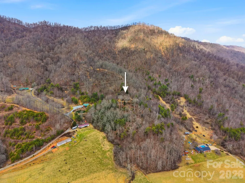 99 Margaret Drive Leicester, NC 28748