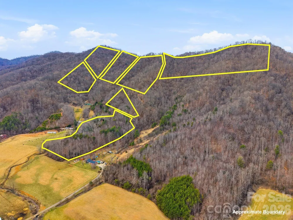 99 Margaret Drive Leicester, NC 28748