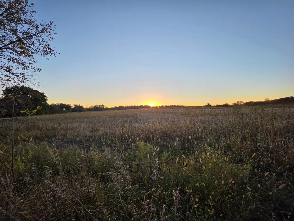 TBD 4/5 Lots 317th St Underwood, MN 56586