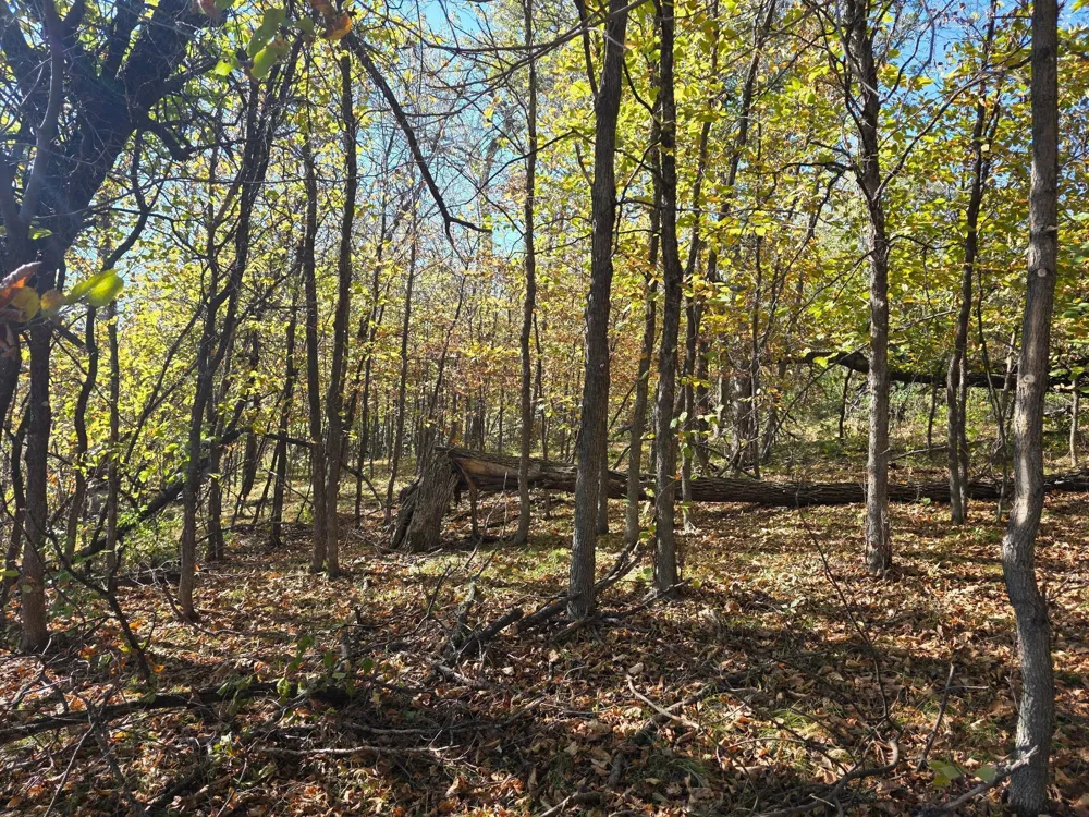 TBD 4/5 Lots 317th St Underwood, MN 56586