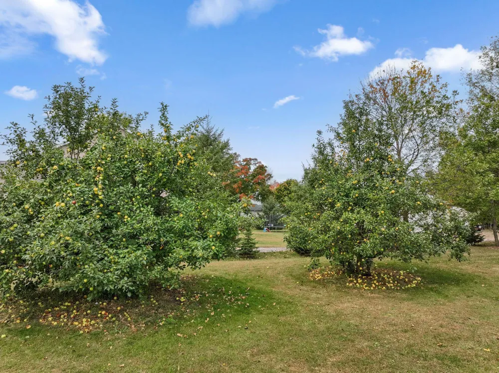 12470 W 270th Street Belle Plaine, MN 56011