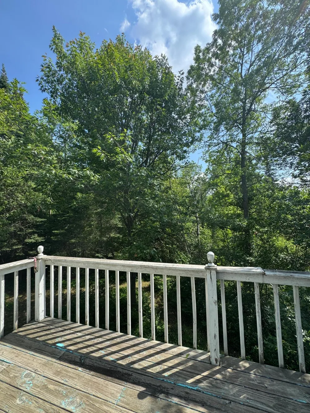 39130 Notebloom Lane Waubun, MN 56589
