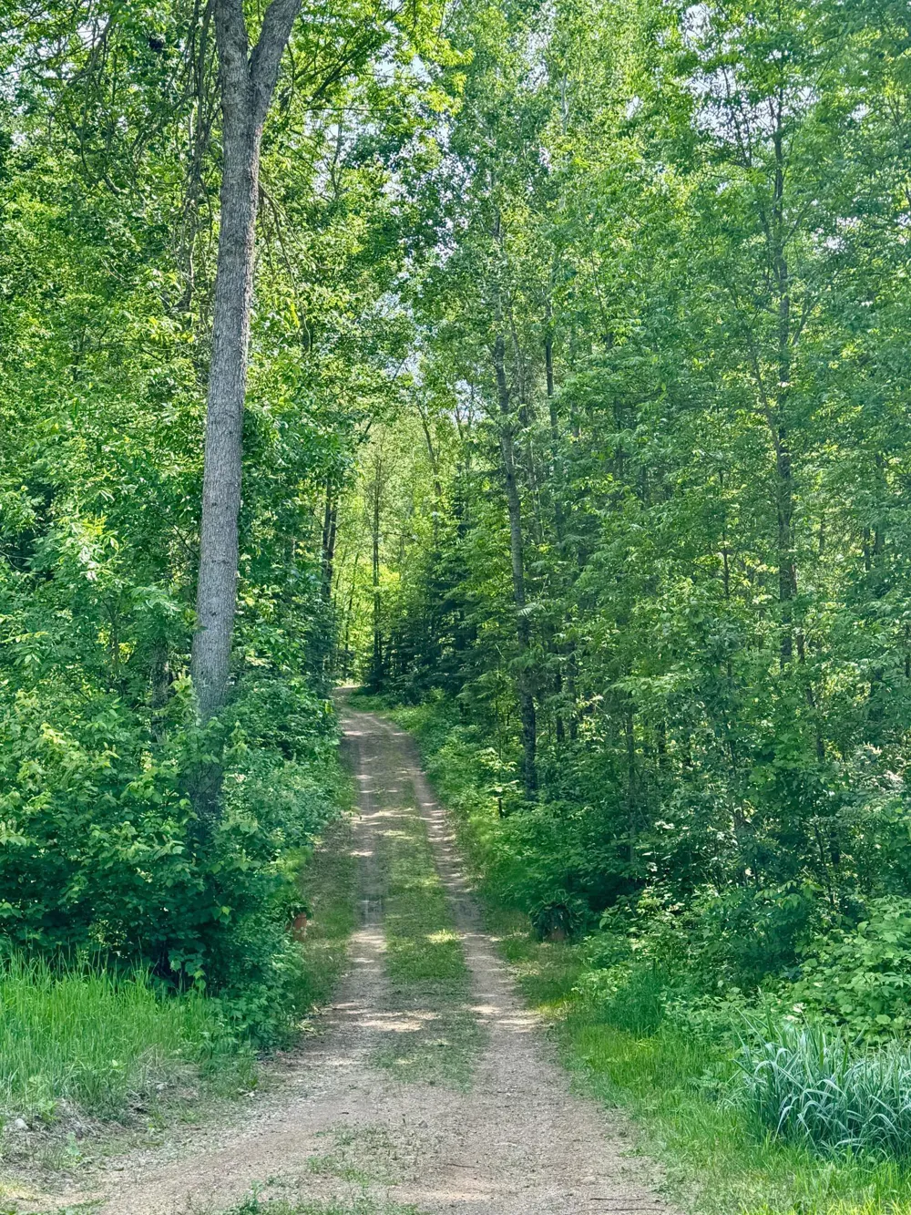 39130 Notebloom Lane Waubun, MN 56589