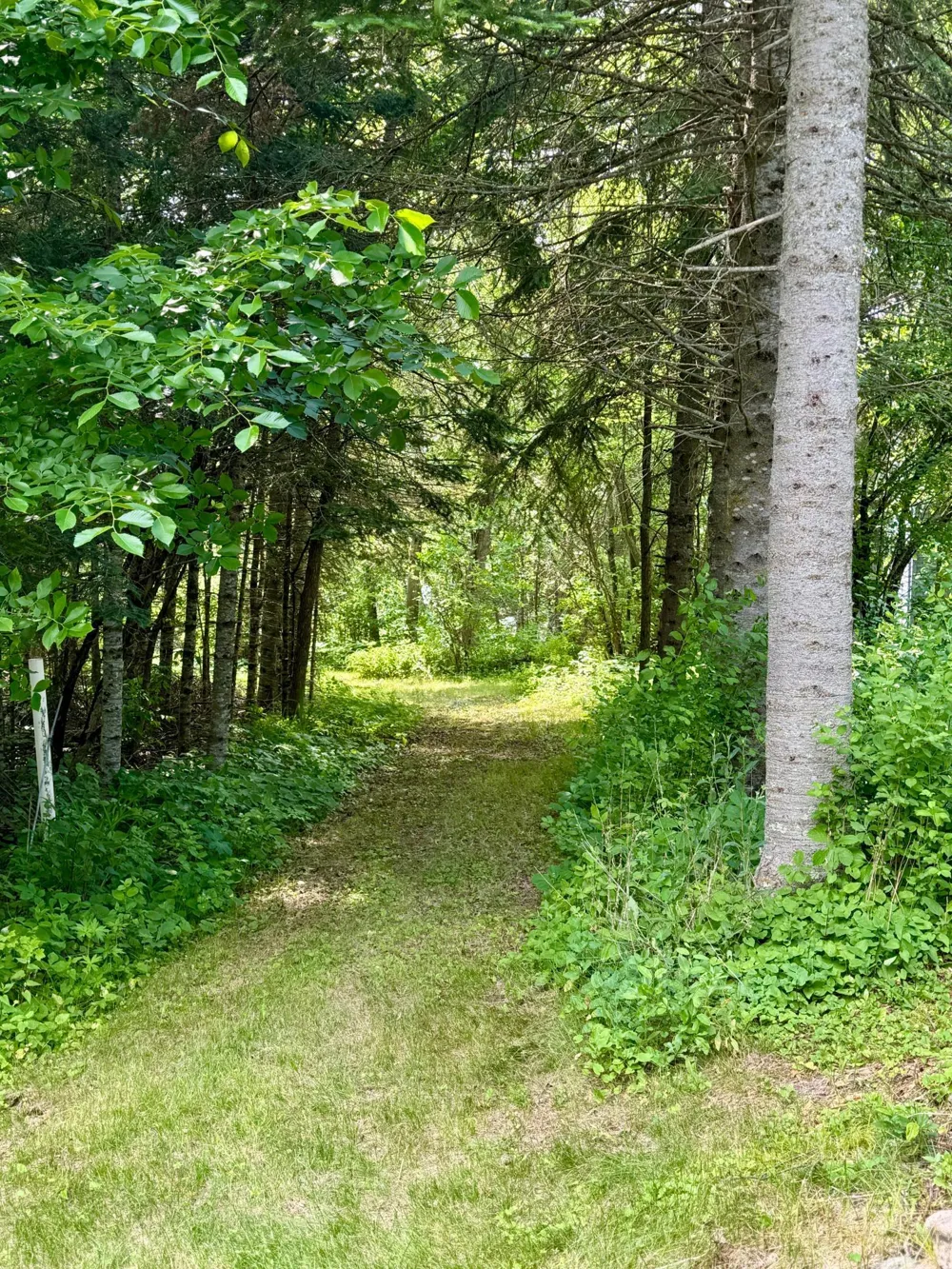 39130 Notebloom Lane Waubun, MN 56589