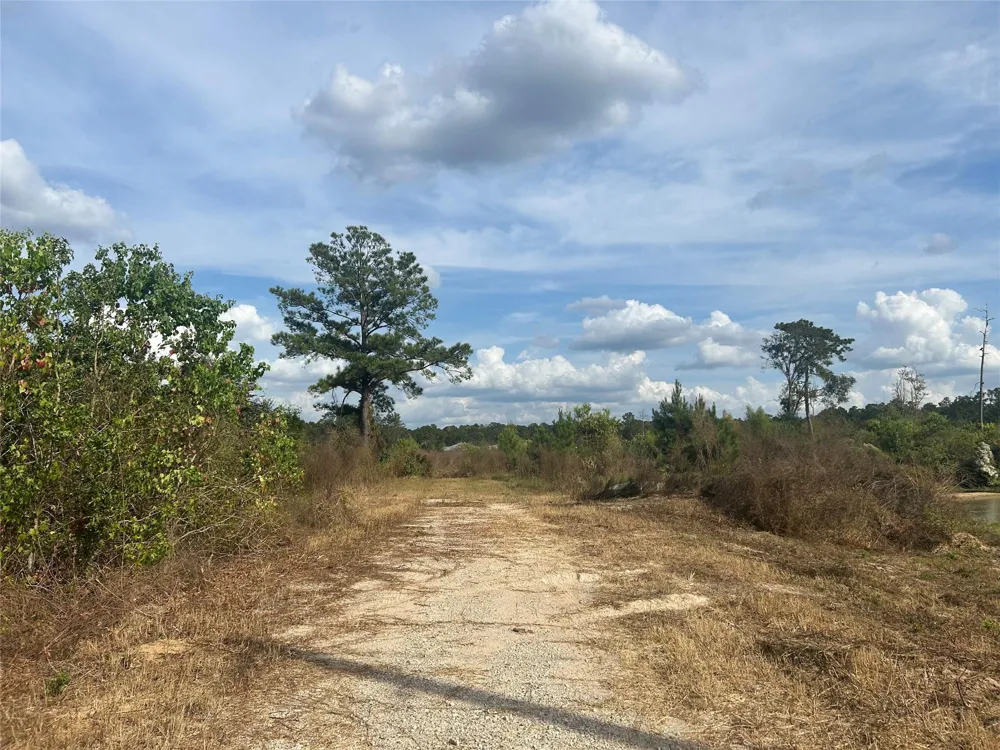 18074 Hill Road Cleveland, TX 77328