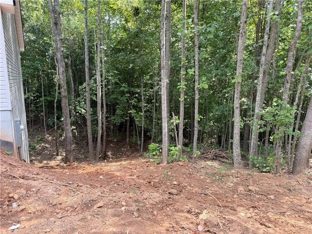 569 Day Star Lane Mount Airy, GA 30563