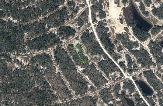 342 Gloaming Drive Lake Placid, FL 33852