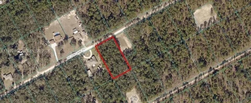 342 Gloaming Drive Lake Placid, FL 33852