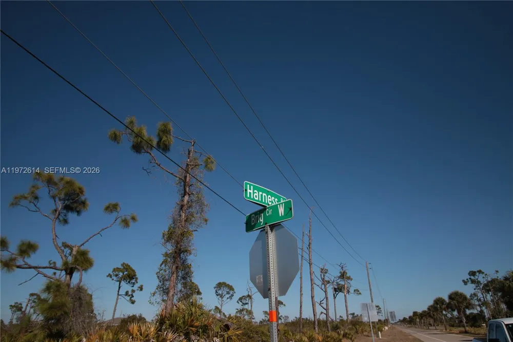 26 HARNESS Other City - In The State Of Florida, FL 33946