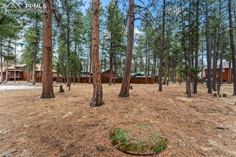 109 Flagstick Drive