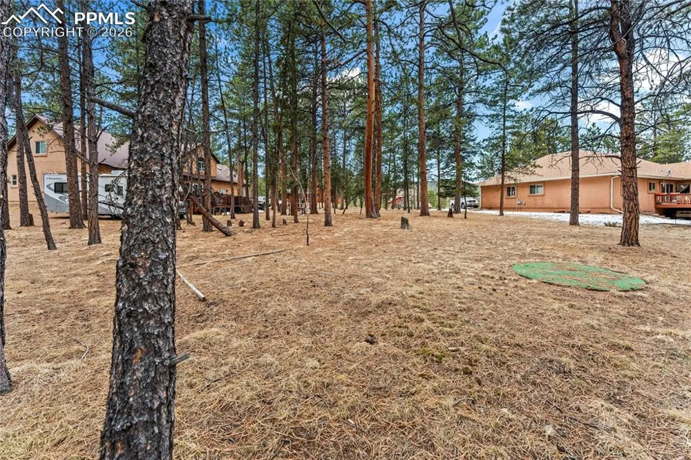 109 Flagstick Drive Woodland Park, CO 80863