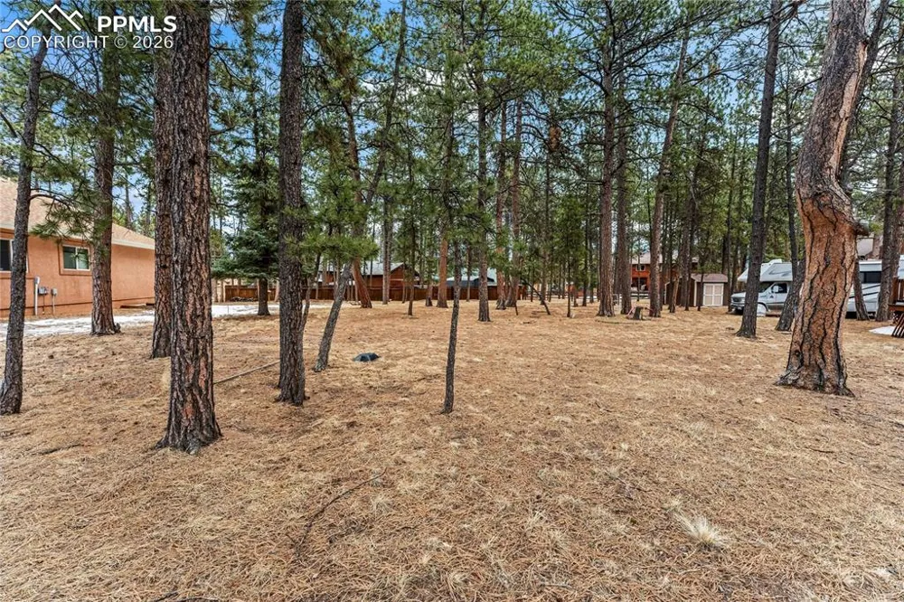 109 Flagstick Drive Woodland Park, CO 80863