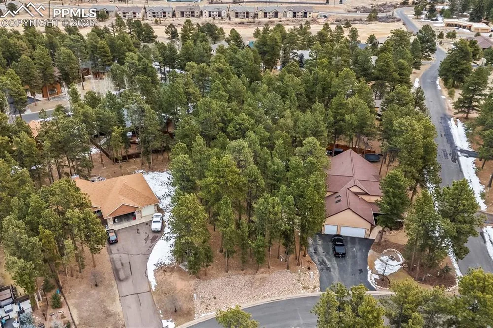 109 Flagstick Drive Woodland Park, CO 80863