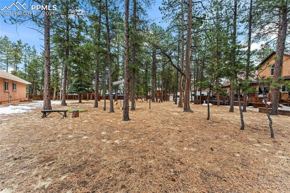 109 Flagstick Drive Woodland Park, CO 80863