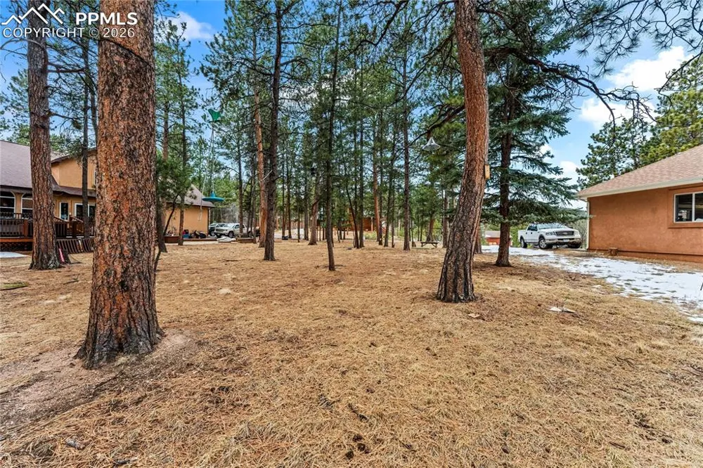 109 Flagstick Drive Woodland Park, CO 80863