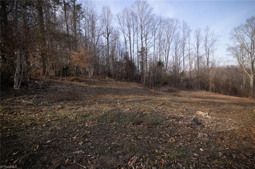 0 Reynolda Road Pfafftown, NC 27040