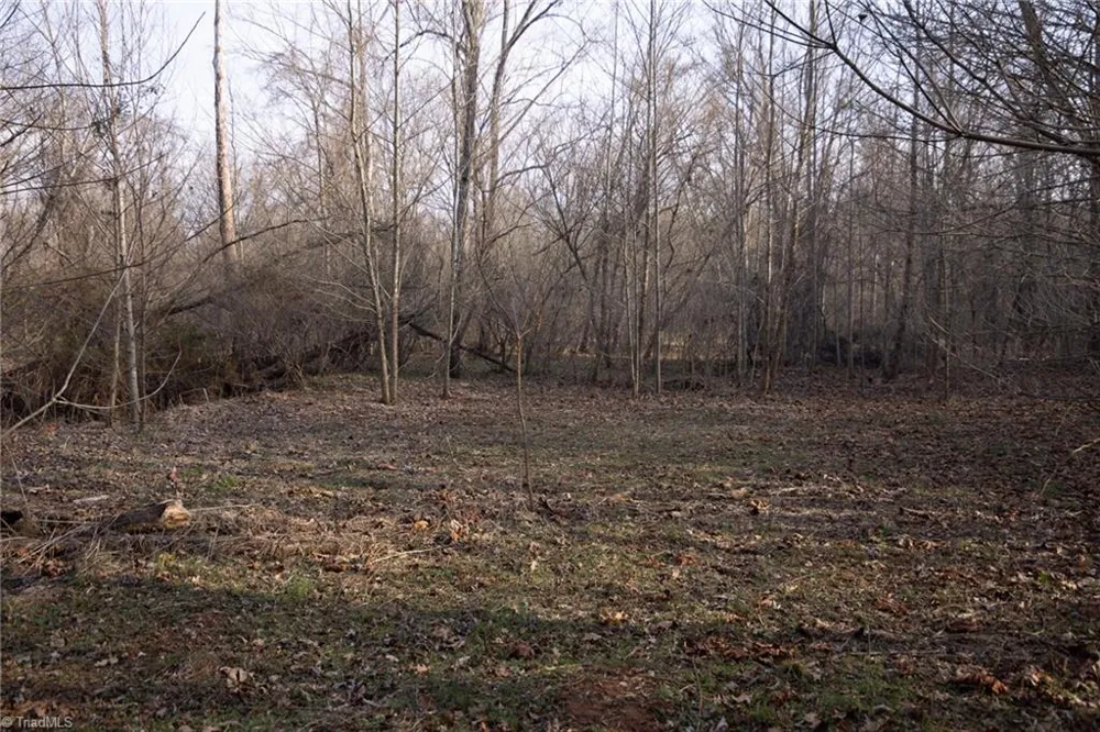0 Reynolda Road Pfafftown, NC 27040