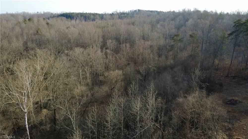 0 Reynolda Road Pfafftown, NC 27040
