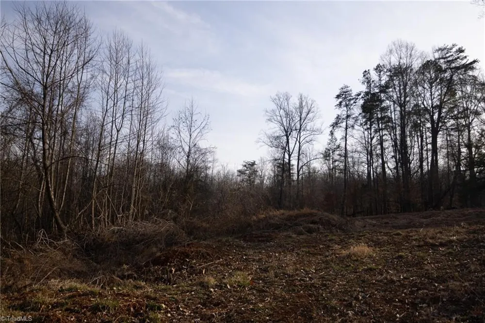 0 Reynolda Road Pfafftown, NC 27040
