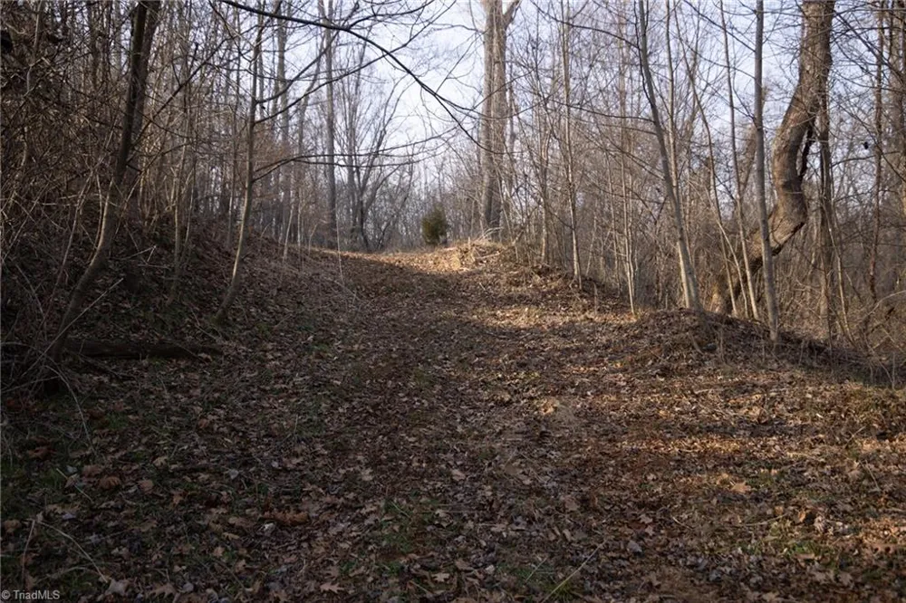 0 Reynolda Road Pfafftown, NC 27040
