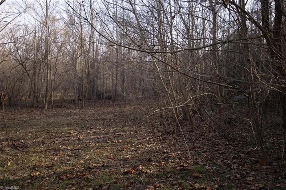 0 Reynolda Road Pfafftown, NC 27040