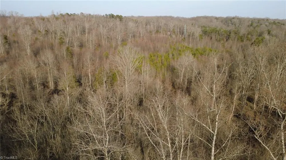 0 Reynolda Road Pfafftown, NC 27040