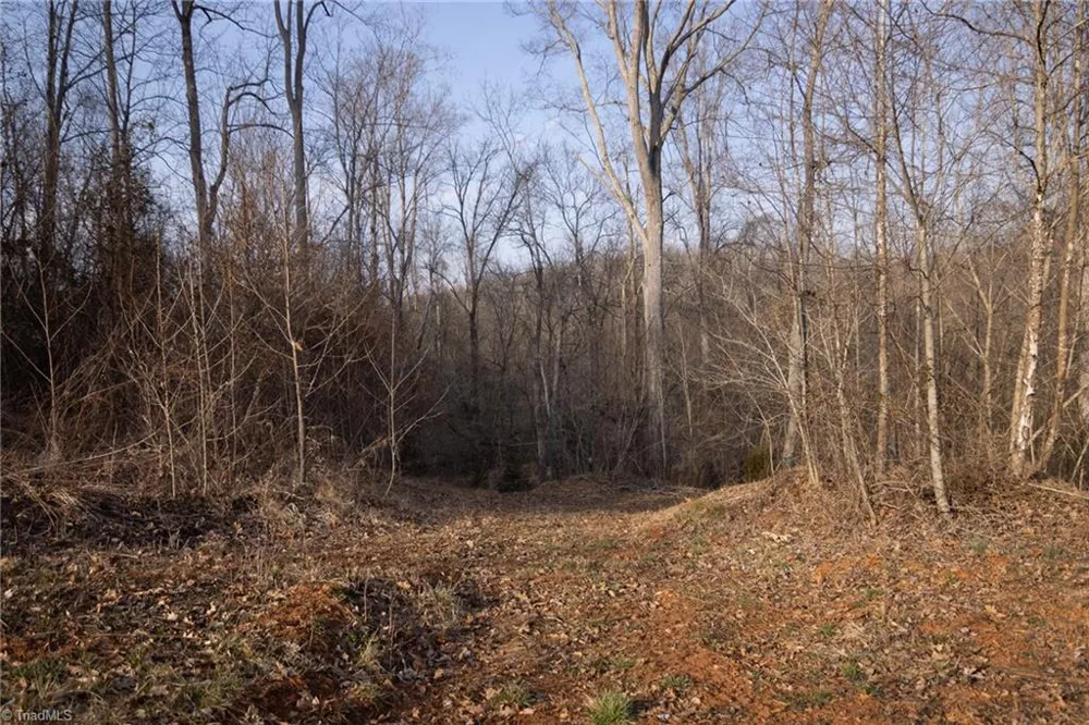 0 Reynolda Road Pfafftown, NC 27040
