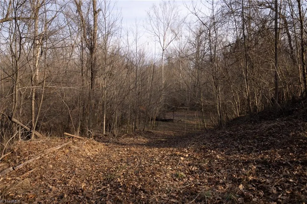 0 Reynolda Road Pfafftown, NC 27040