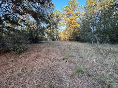 700 Pr 8160