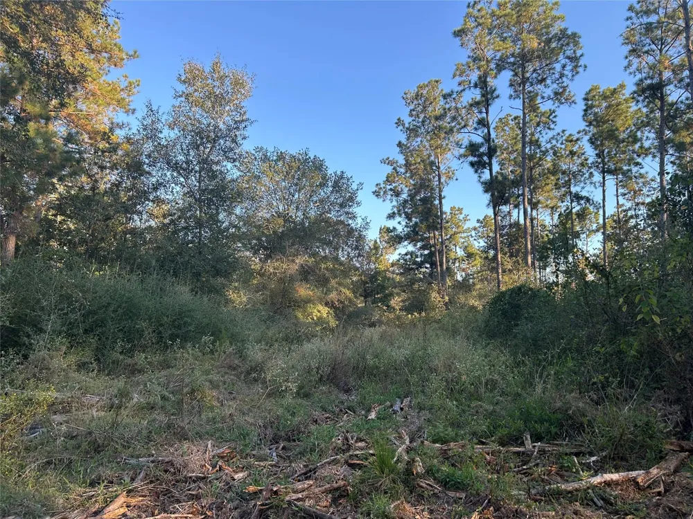 700 Pr 8160 Lovelady, TX 75851