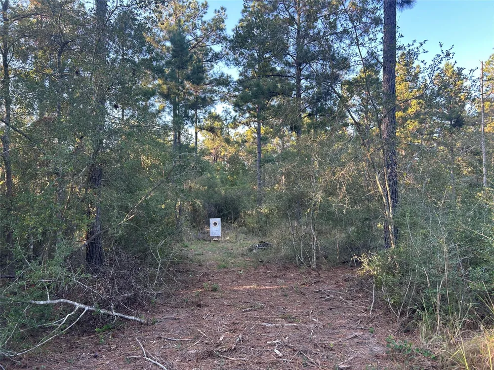 700 Pr 8160 Lovelady, TX 75851