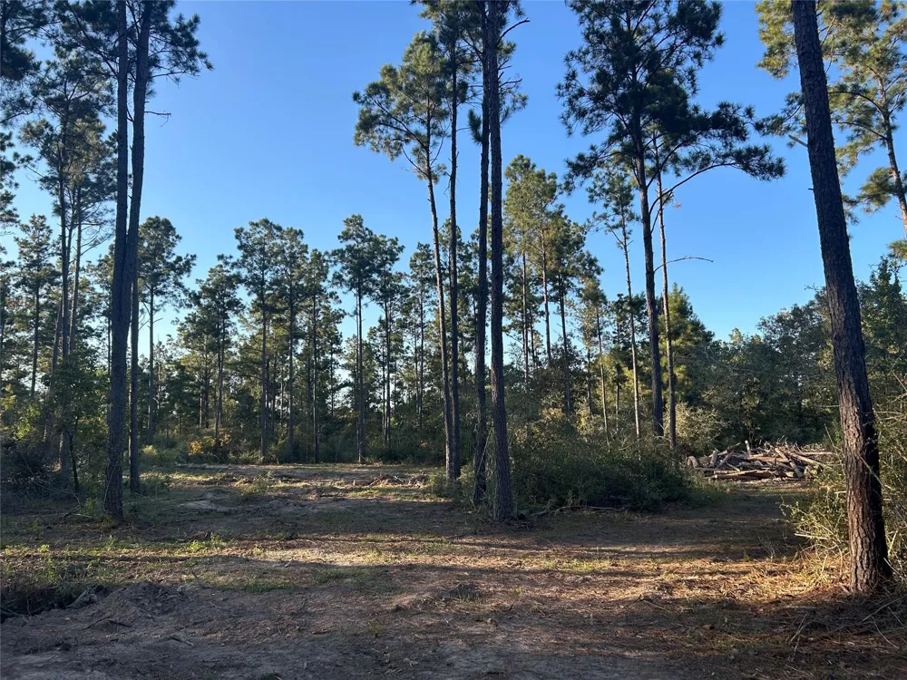 700 Pr 8160 Lovelady, TX 75851