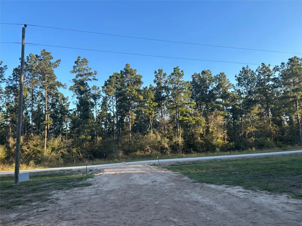 700 Pr 8160 Lovelady, TX 75851
