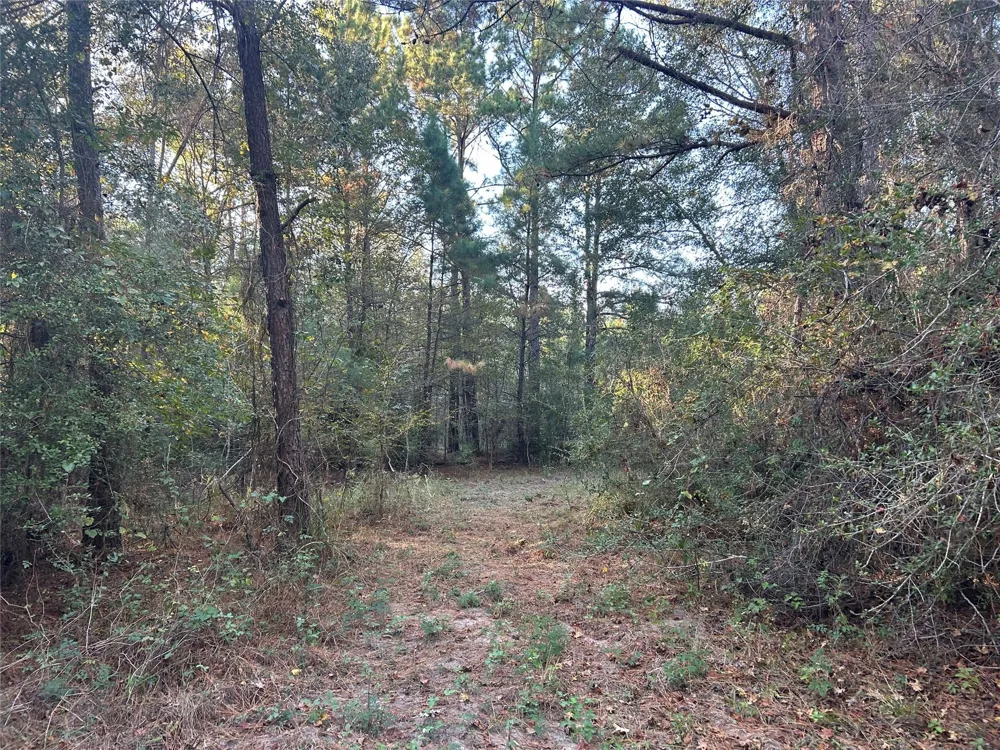 700 Pr 8160 Lovelady, TX 75851