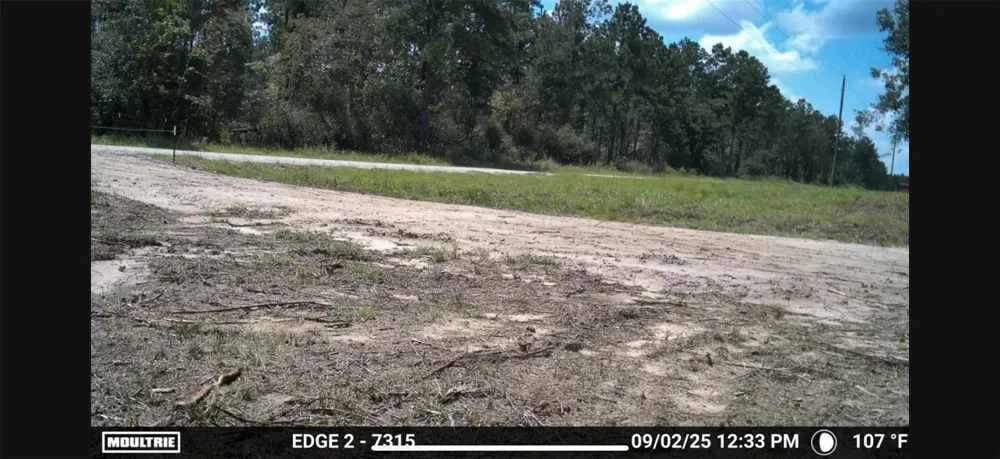700 Pr 8160 Lovelady, TX 75851