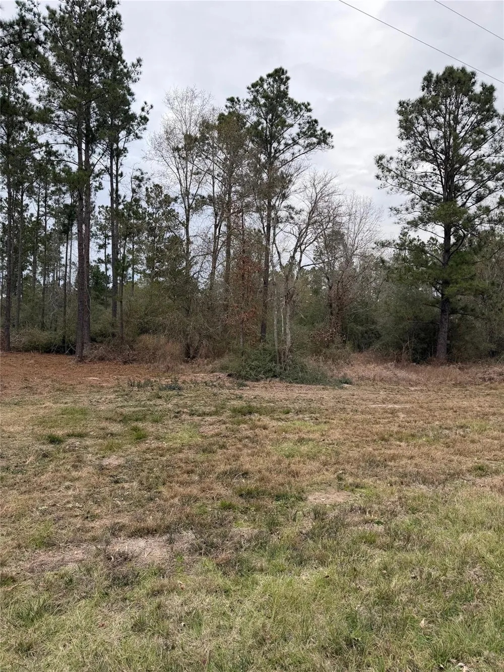 700 Pr 8160 Lovelady, TX 75851