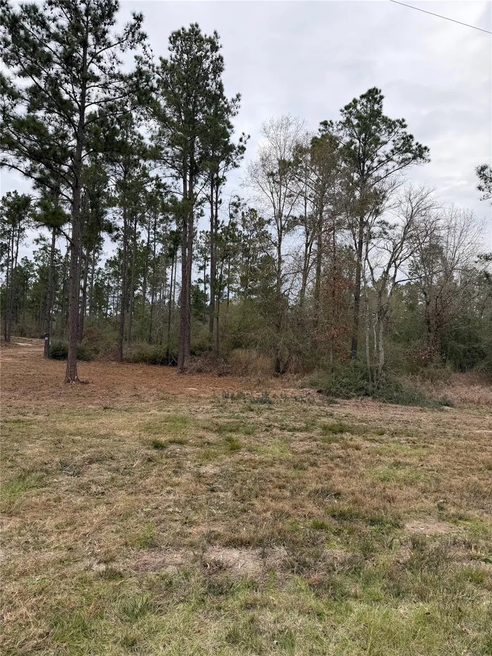 700 Pr 8160 Lovelady, TX 75851