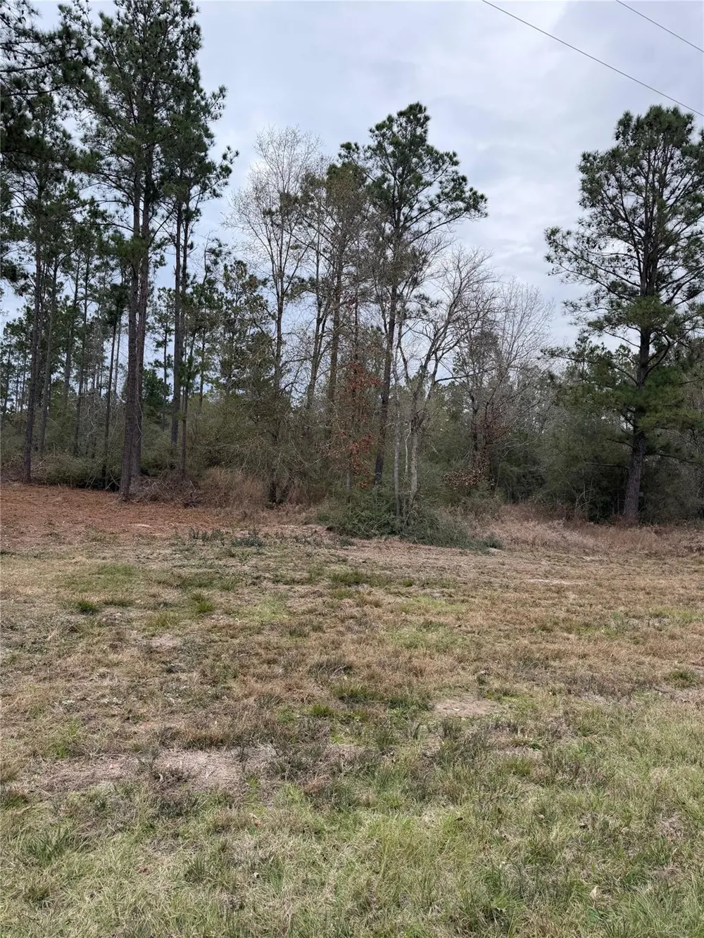 700 Pr 8160 Lovelady, TX 75851