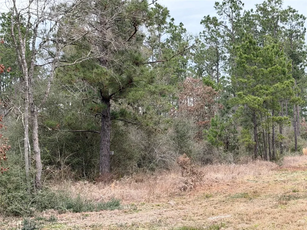 700 Pr 8160 Lovelady, TX 75851